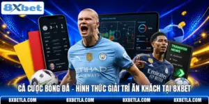 Cá Cược Bóng Đá - Hình Thức Giải Trí Ăn Khách Tại 8XBET